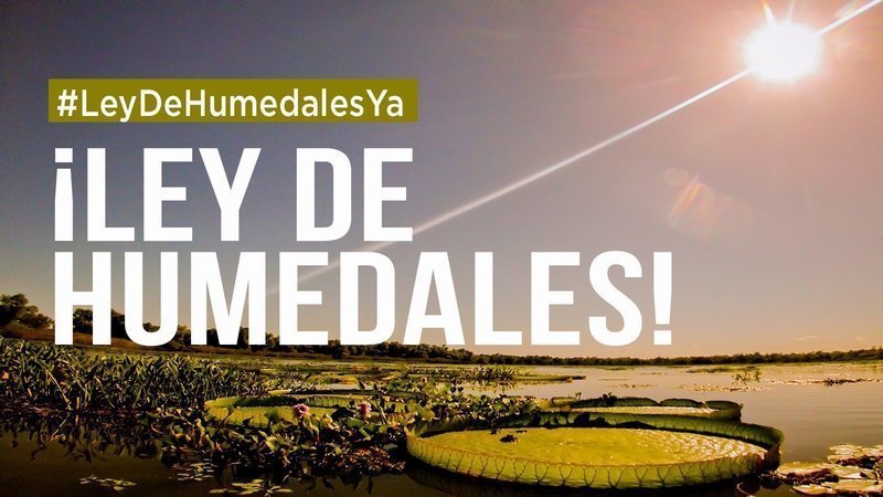 Ley de humedales ya!